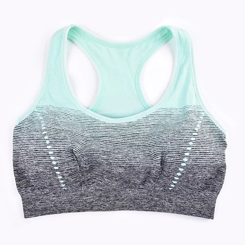 Seamless Gradient Sports Bra