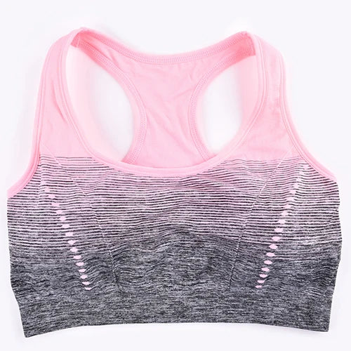 Seamless Gradient Sports Bra