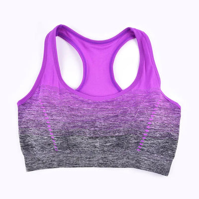 Seamless Gradient Sports Bra