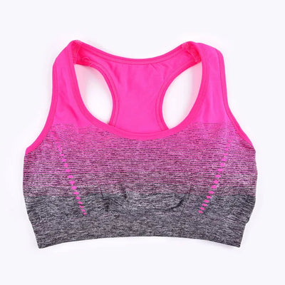 Seamless Gradient Sports Bra