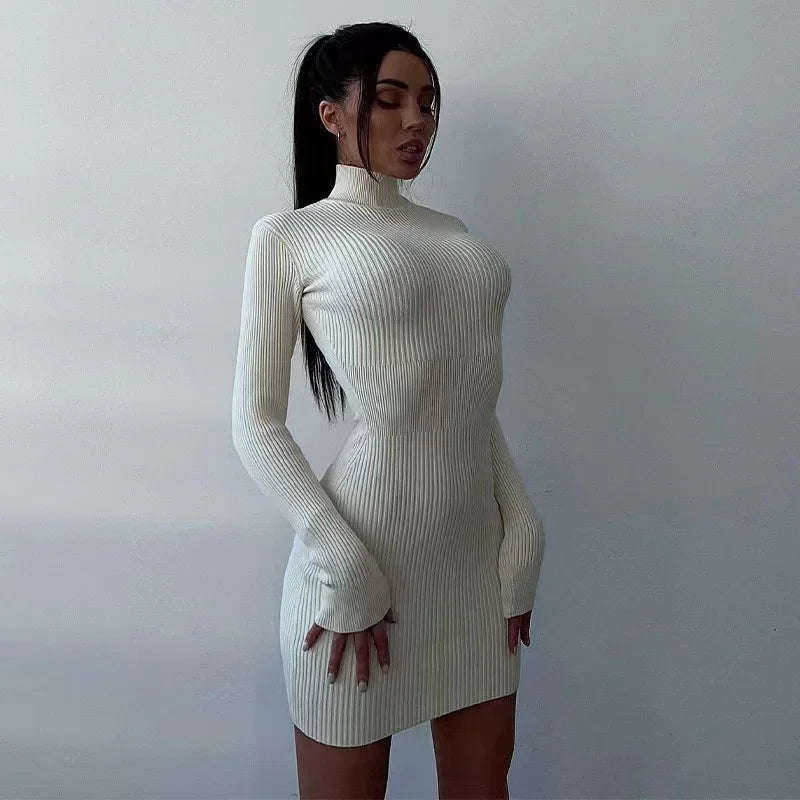 New Knitted Turtleneck Dress