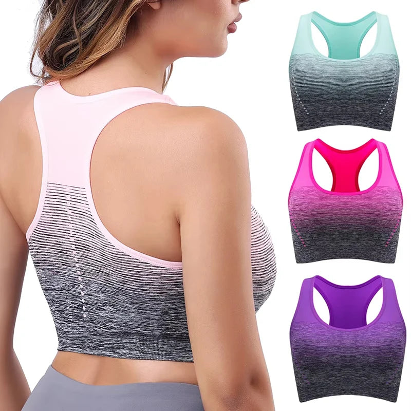 Gradient Sports Bra