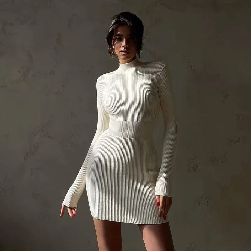 New Knitted Turtleneck Dress