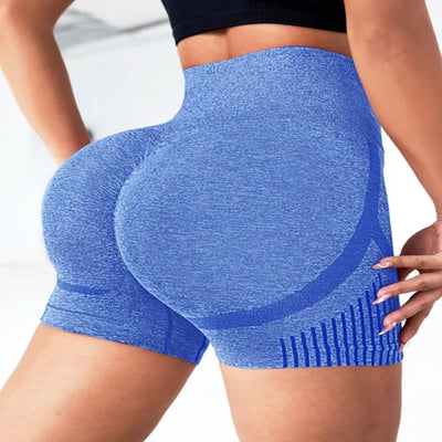 Seamless High Waist Yoga Shorts – Quick-Dry Stretch Activewear for Women