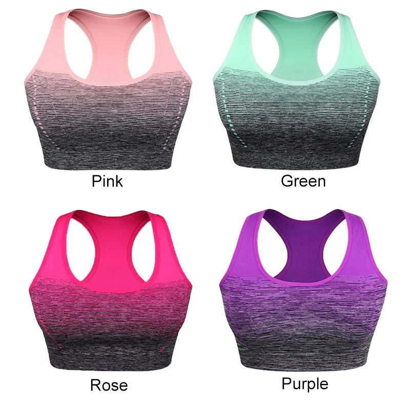 Gradient Sports Bra