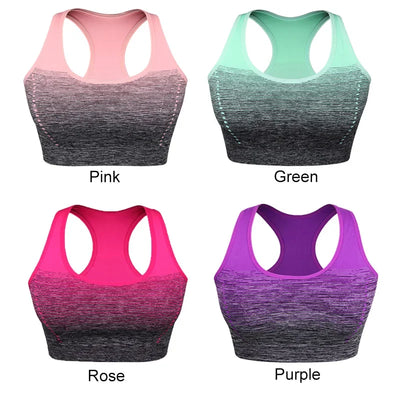 Gradient Sports Bra