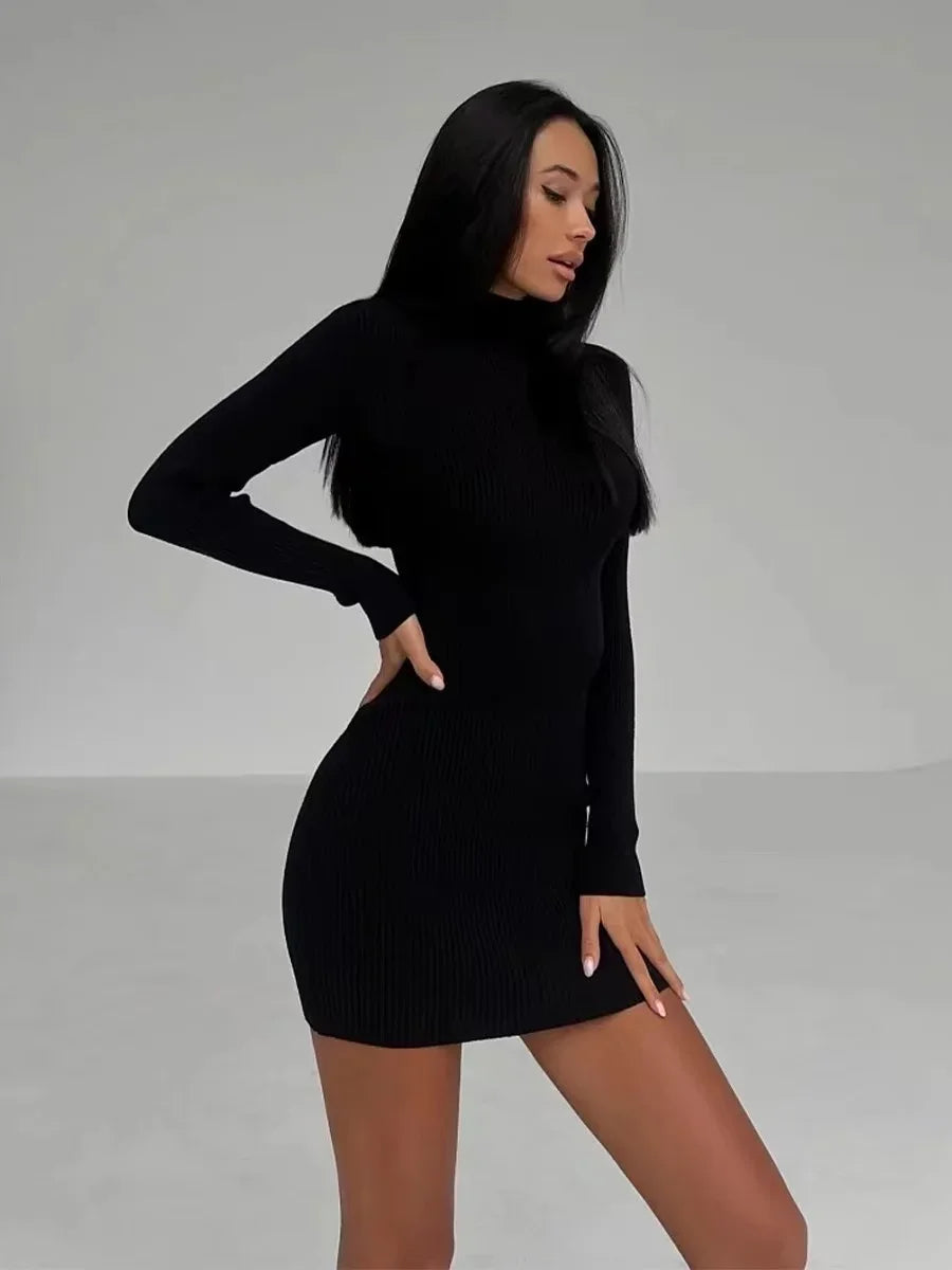 New Knitted Turtleneck Dress