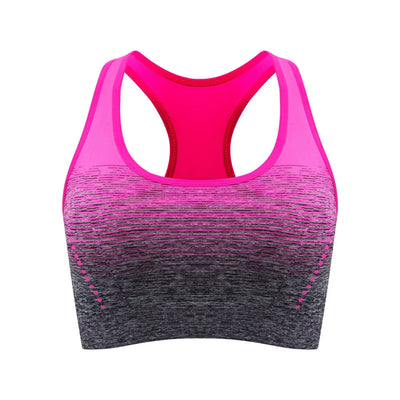 Gradient Sports Bra