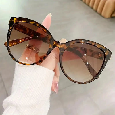 Cat Eye Outdoor Sunglasses