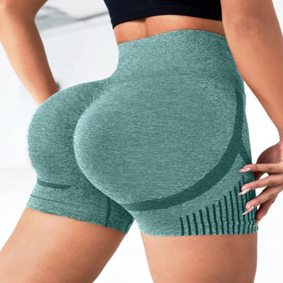 Seamless High Waist Yoga Shorts – Quick-Dry Stretch Activewear for Women