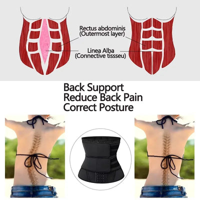 Women’s Waist Trainer Belt